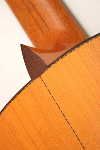 flamenco-8.jpg